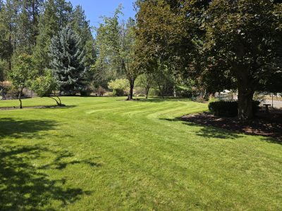 Sprinkler Install